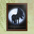 Moonlit Black Horse Framed Poster — Mystical Night Stallion Wall Art